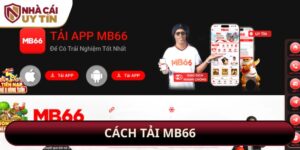 Cách Tải MB66