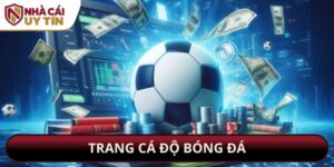 Trang Cá Độ Bóng Đá